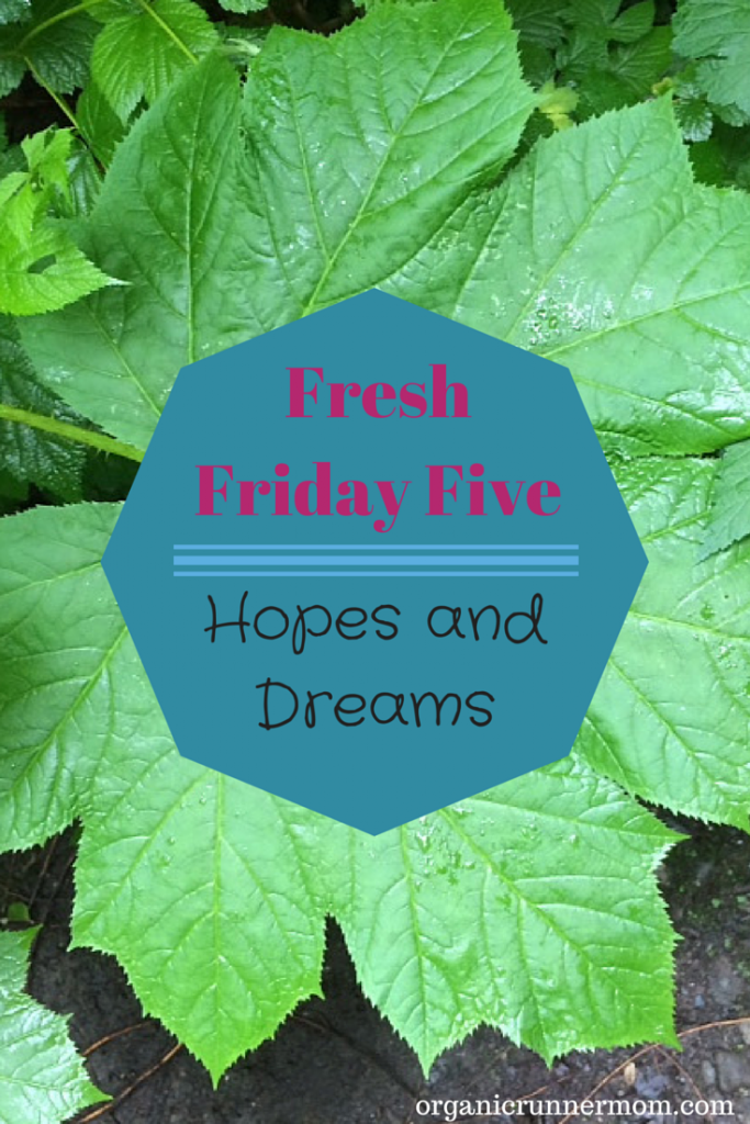 Fresh Friday Five. Hopes and Dreams |Organic Runner Mom